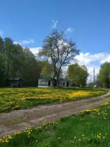 Бояринцево - 33