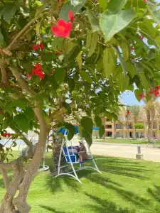 Pyramisa Beach Resort Sahl Hasheesh - 42