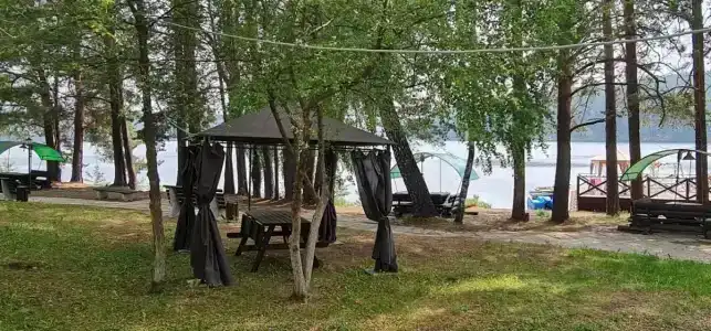 Лесотерапия - 22