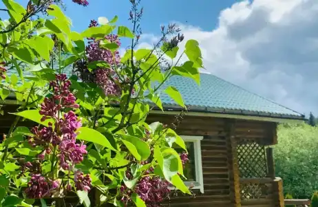 База отдыха Рюттю - 84