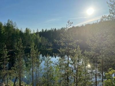 Усадьба Гирвас - 15