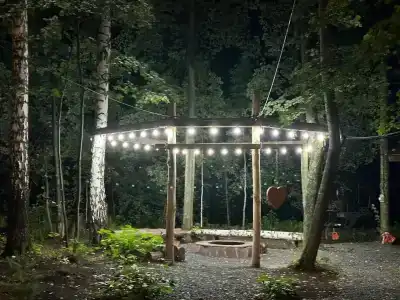 Forest story - 29