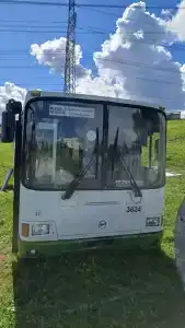 Папина дача - 52