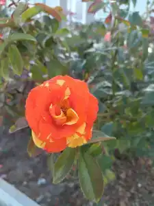 Капля моря - 94