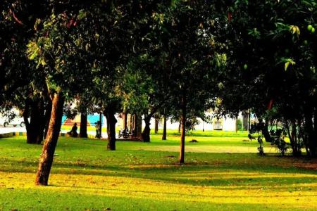 Vgp Golden Beach Resort - 83