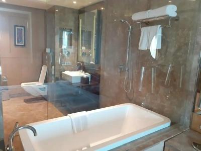 Radisson Blu Jaipur - 83