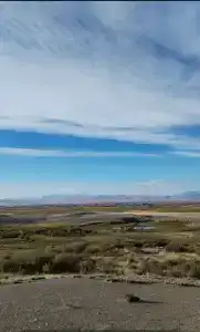 Altay Steppe - 22