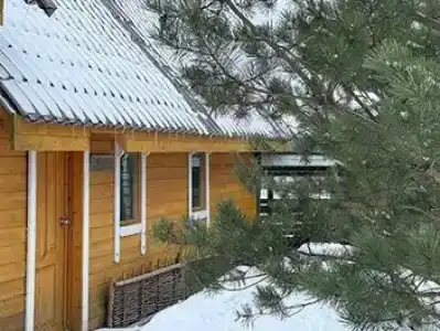 Муза Рузы - 58