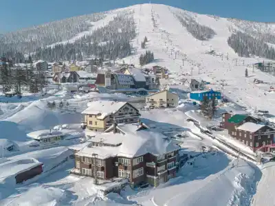 Губернский - 1