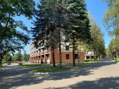 Дубки - 8