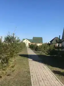 Лукоморье - 94