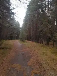 Ясная Поляна - 44