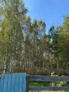 Усадьба Галат - 83