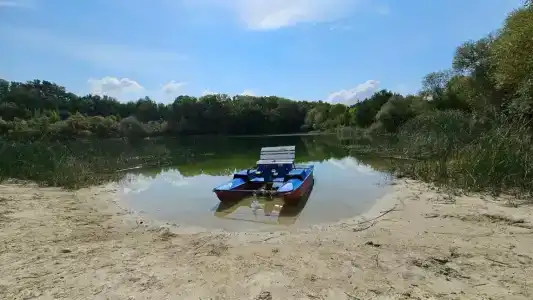 Родное - 64
