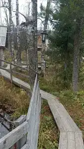 Звезда - 16