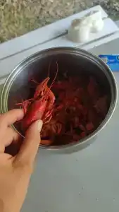 Веселый Роджер - 73