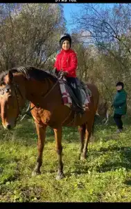 Конная база в Михайловском - 95