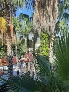 Club Akman Beach - 29