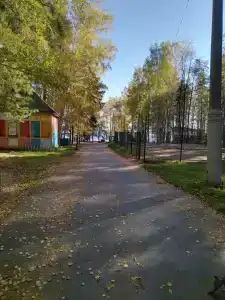 Лесная сказка - 73