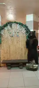 Русский Лес - 89