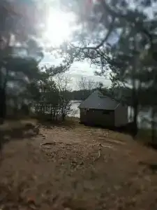 Пчелинцево - 94