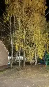 ЛесОК - Домик лесника - 39