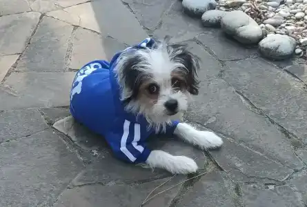 Песчаный Берег - 61