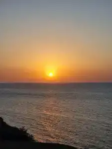 Дельфин Апартаменты - 4