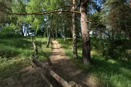 Лесной Привал - 98