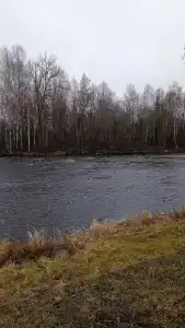 Кемпинг у порога Бели - 83