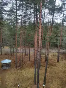 Баринова Роща - 43