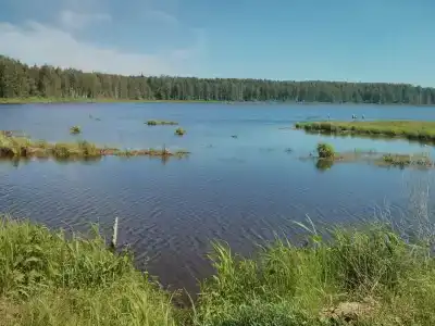 Бурдиха - 20