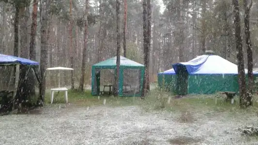 Эдельвейс - 13