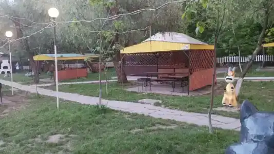 Пикниковая поляна - 21