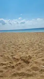 Приморец - 24