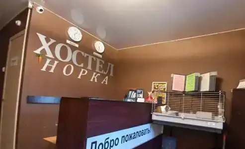 Норка - 38