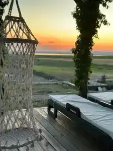 Фридом Веселовка - 12