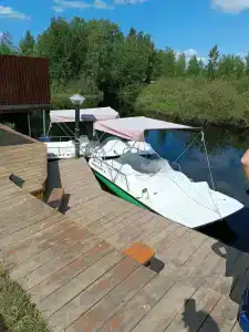 Лесная Купель - 25