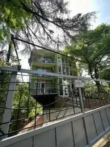 Green Ureki - 4