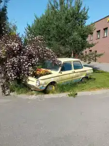 Нотебург - 26