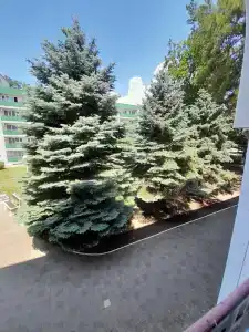 Энергетик - 48