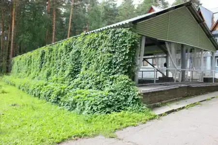 Гренада - 18