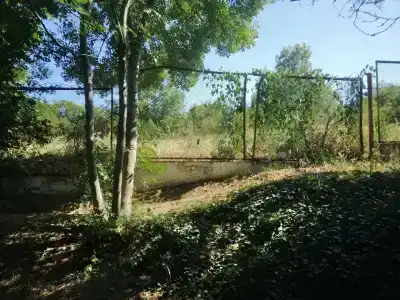 Дорожник - 32