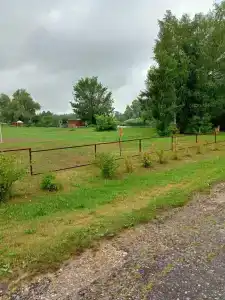 Кувшинка - 19