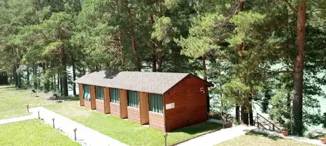 Лаванда - 6