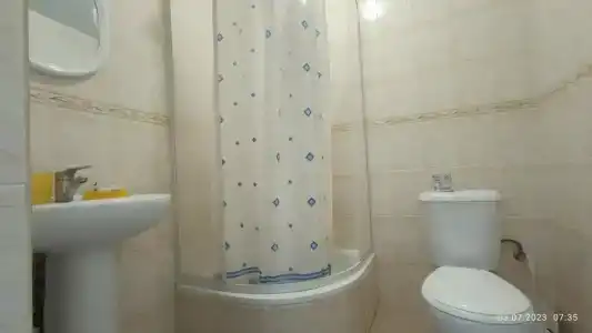 Кипарис-канака - 30