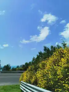Юбилейный - 9