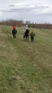 Эко ферма у Гордея - 53