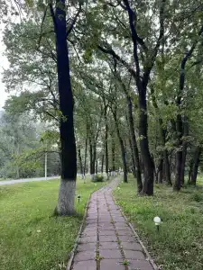 Чардым-Дубрава - 29