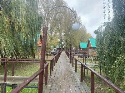 Прокоста - 41